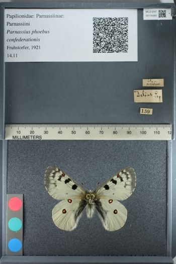 Media type: image;   Entomology 174360